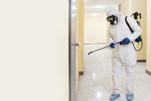 Choosing the Right Pest Control Company in Malaysia: Protect Your Home and Business